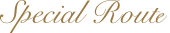 Special Route