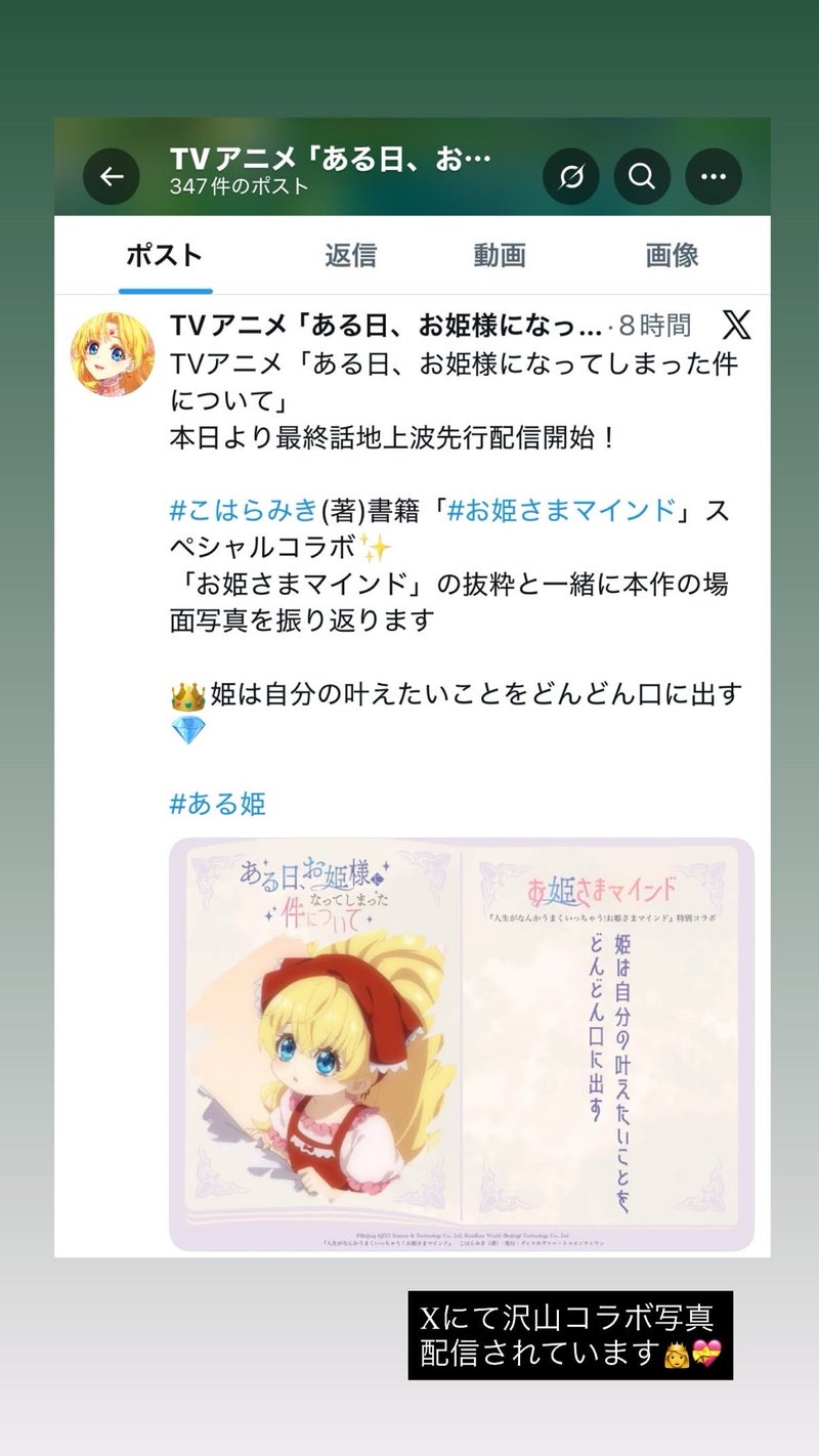 アニメ「ある日、お姫様になってしまった件について」とお姫さま手帳のコラボレーションメインビジュアル